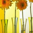 janice mcbride - @janicemcbride56 - Twitter