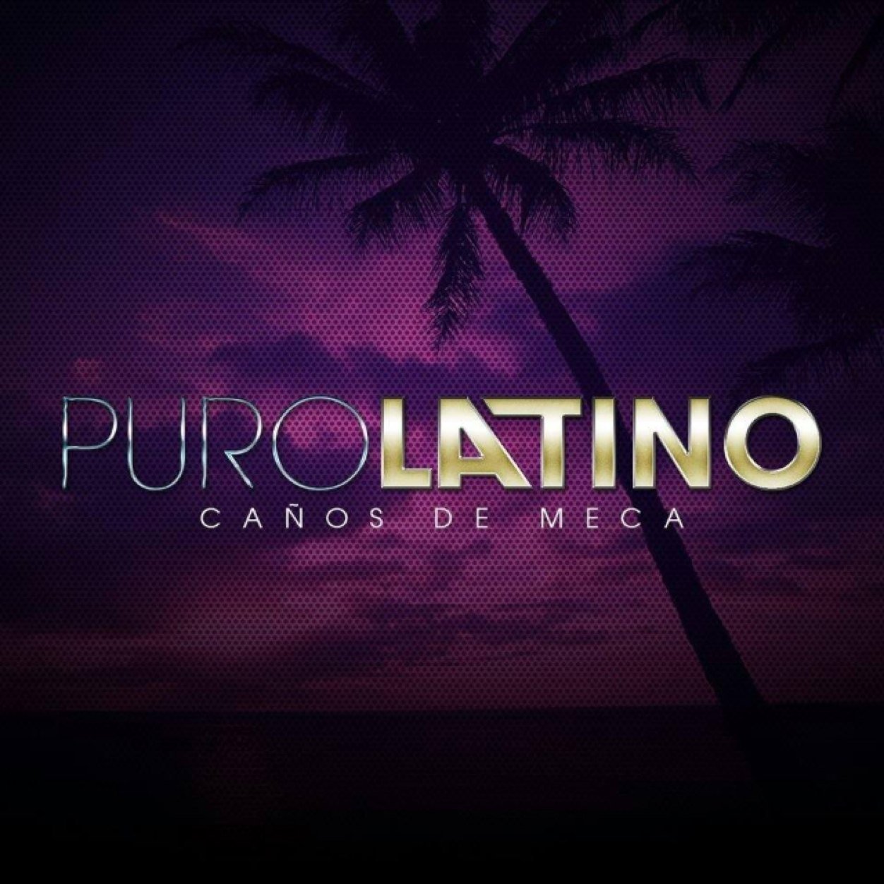 pascuallopis's profile picture. 