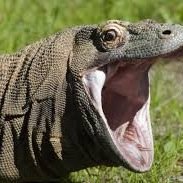 Here to promote every thing and everyone. #RTs and #Favs a specialty for the beast. No #Followbacks for Eggs. Ask and you shall receive. #PromotoDragon