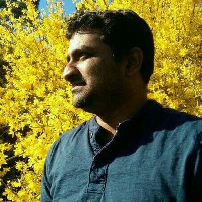 imrshek's profile picture. 