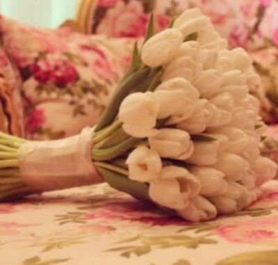 ‏أناقة
 لسانك هي ترجمه لأناقة فكرك فلا ترفع صوتك بل ارفع مستوى كلماتك...