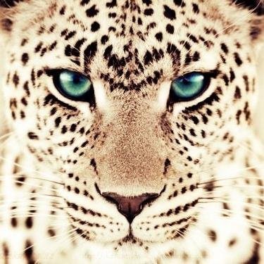 raquelle_b's profile picture. • I believe that Christ is Lord †♡ •