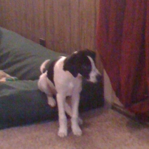 jennanicolleman's profile picture. hi