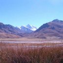 Asoc CivLuisTristan  - @AsocLuisTristan - Twitter