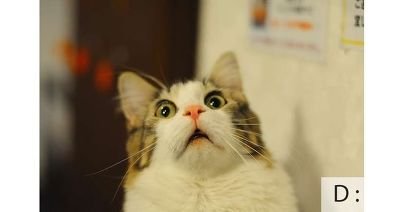 Ryoe_Tang's profile picture. 