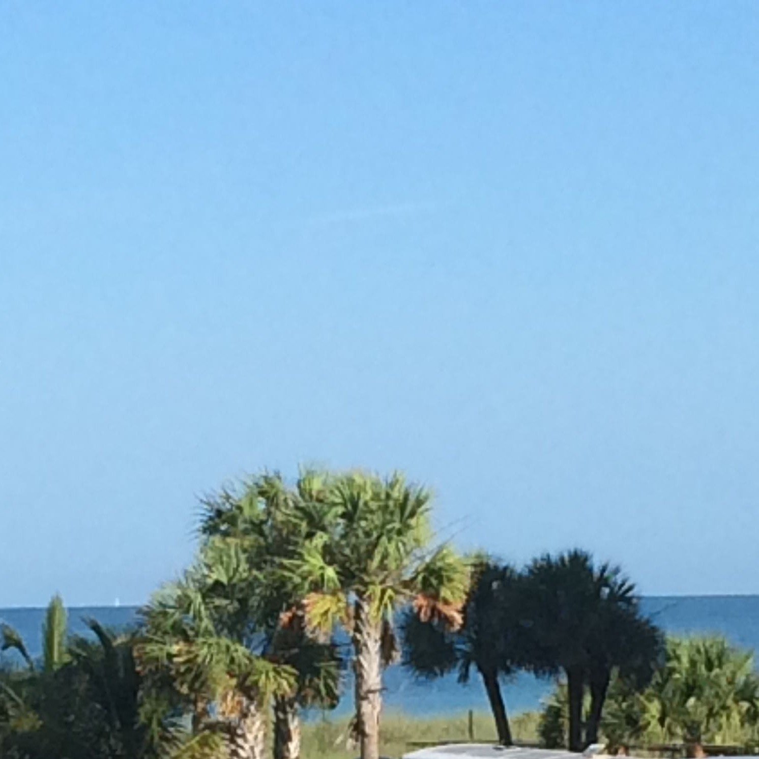Weather reporting daily from Turtle Beach, Siesta Key, Florida.