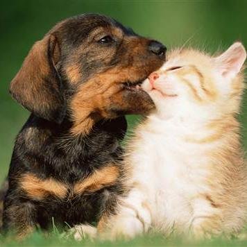 TmTestline's profile picture. 