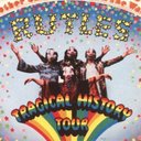 Stig McQuicly - @john_peterkin - Twitter