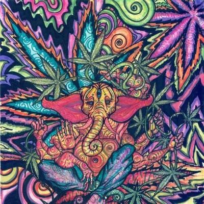 hippie • free-spirited • blazed out • brunette • green eyed • babe