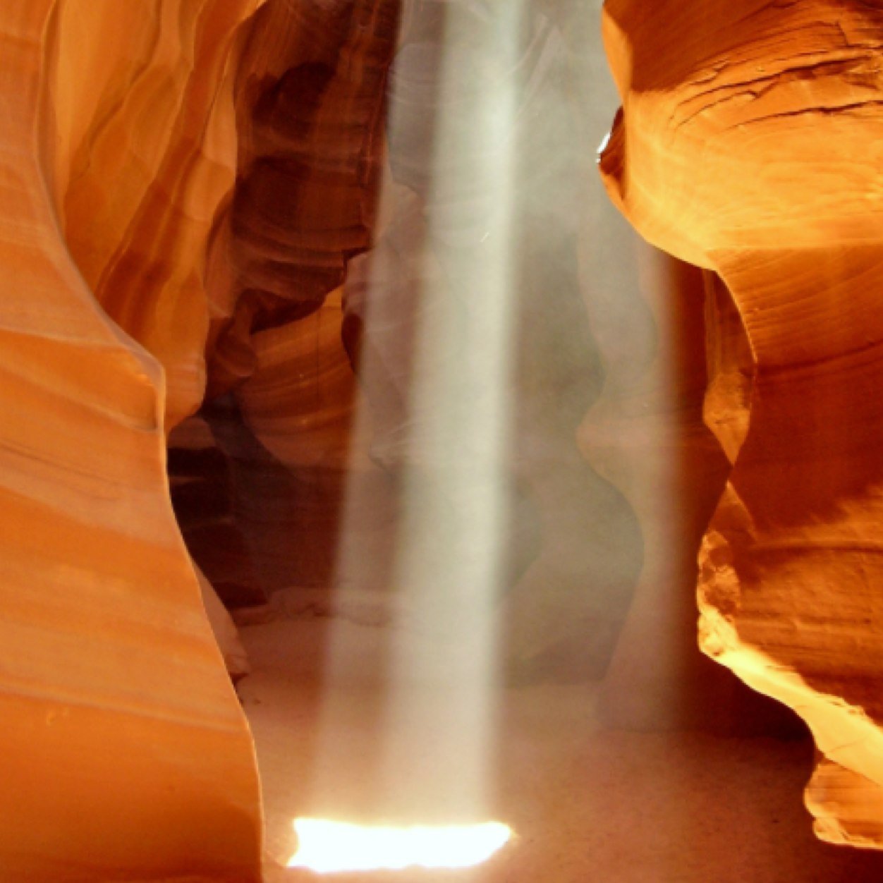 rapidodental's profile picture. 