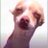 LarryYalarry's profile image