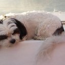 Cathy Hay - @HayIsForHorses6 - Twitter