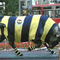 Hüsnü ÖZER (@hsntwitt) Twitter profile photo