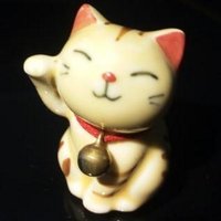 のほほぉんと♪ (@nohohonnto1) Twitter profile photo