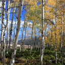 Debra Fowler - @DebraFowler10 - Twitter