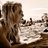 HilarieHawley's profile image