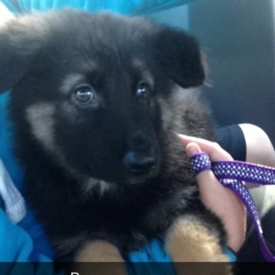 depressioncame's profile picture. 