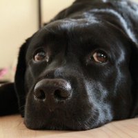 1111 (@k1_78) 's Twitter Profile