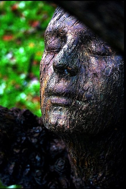 textualisation's profile picture. Lovin' life