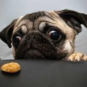 ioaejinufisuuf's profile picture. 