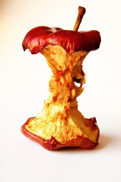 We must stop Common Core! The poison apple being fed to our students. #stopcommoncore #edreform