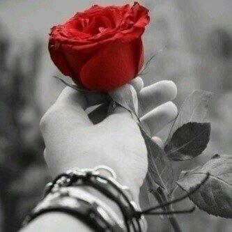 ‏‏حكاايہه تبدأ ، ۆحكاايہَه تنتھي ۆالاياام تمضي ،ولا ﺷيءَ يدوم..*