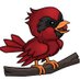 Carlin Park Elem. (@cpcardinals) Twitter profile photo