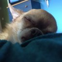 Chris Cromwell - @ChrisCromwell1 - Twitter