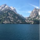 Sharon Hauser - @hausedog - Twitter