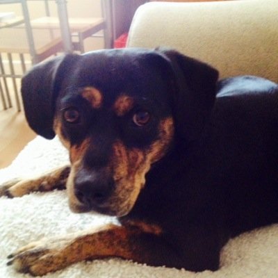 BeauBiddy's profile picture. 