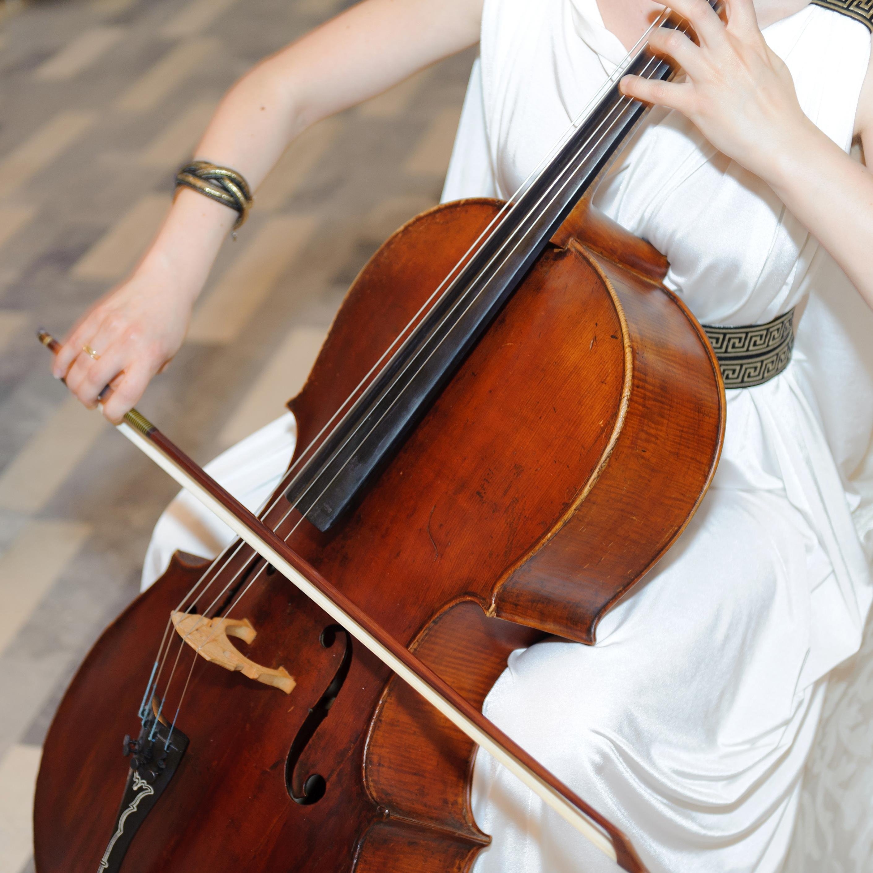 Elegant_Strings's profile picture. Professional musicians ready to perform for your wedding or special event! Serving the Las Vegas area and beyond. We will make your day absolutely spectacular!