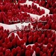 سبحان الله وبحمده سبحان الله العظيم