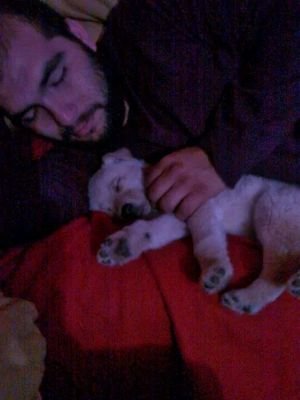 pxsteban's profile picture. 