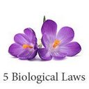 5 Biological Laws (@5biologicallaws) Twitter