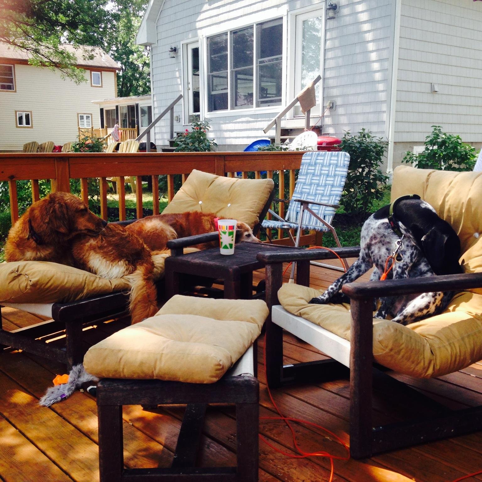 bonnieclark2418's profile picture. 