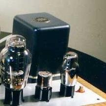 JustwantTObe3's profile picture. 