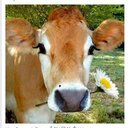 Julia Seals - @Tweetywho02 - Twitter