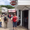 Susan Scheidt Alfano - @SusanSAlfano - Twitter