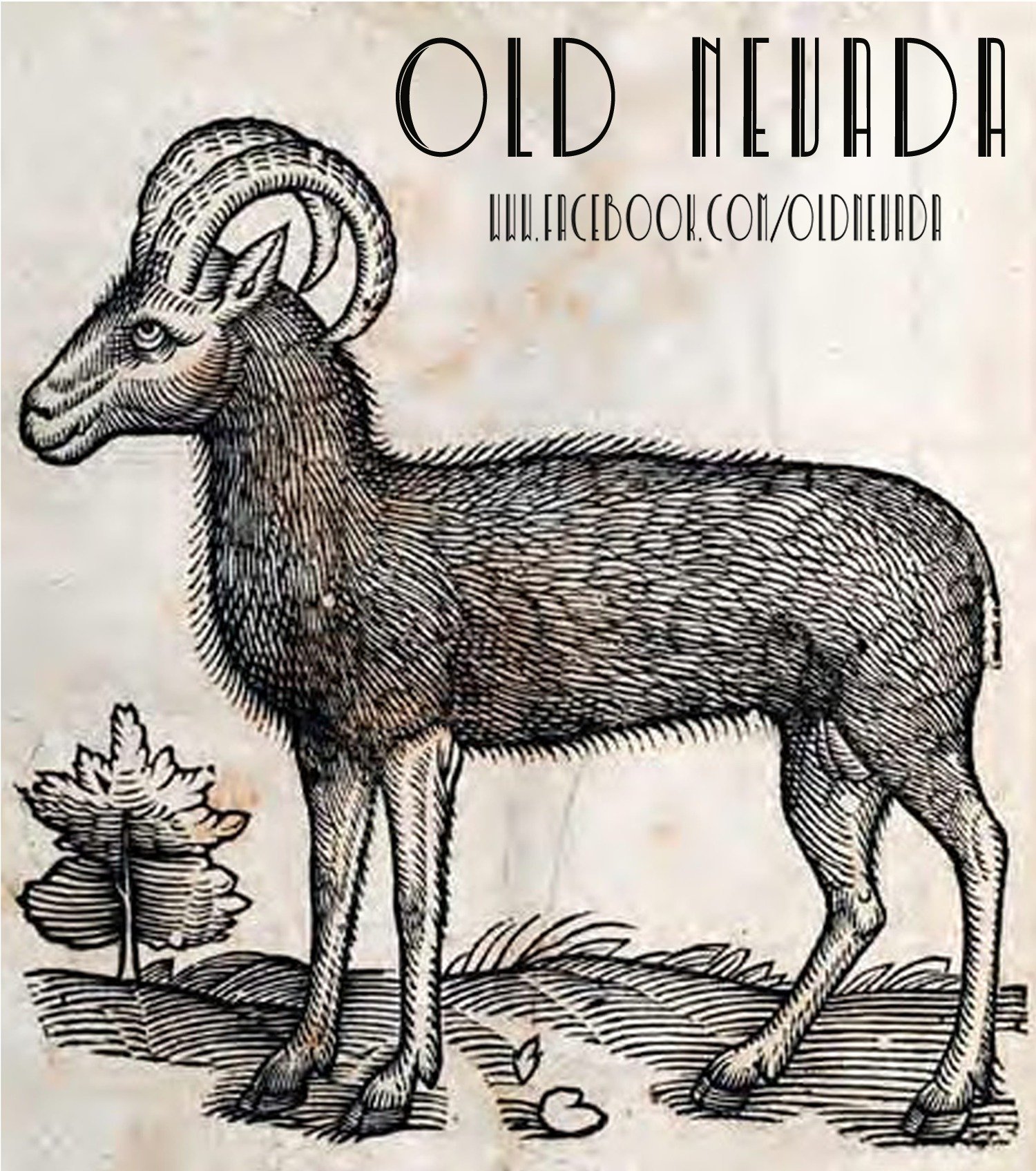 Alt- Country/ Folk Band Currently from Rural Nevada