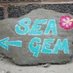 Sea Gem Croyde (@SeaGemCroyde) Twitter profile photo