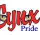 New Competition among the student body!Check her for updates, event & activites to gain point for each grade! Which class will reign supreme? #LynxNation
