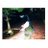 1dBellaz's profile image