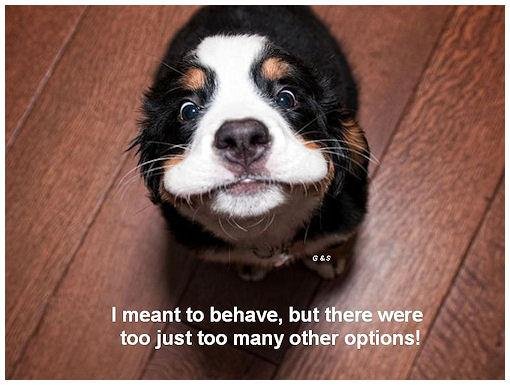 bustadem's profile picture. Constitutional Libertarian. Just because you are offended doesn't mean you are right. Life member of the NRA. My pronouns......