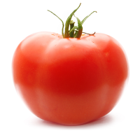 Veggie Channel (@veggie_channel) 's Twitter Profile