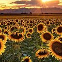 Debbie Colvin - @debcolvin81 - Twitter