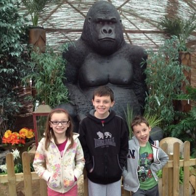 Married 3 kids elder boy and boy girl twins. Love my family, have been a loyal Gooner for 47 years. My Dads a Gooner and my eldest is a Gooner 2nd team the Boro