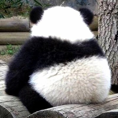 いく