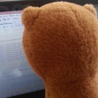 Fiona Liao (@fliao1) 's Twitter Profile