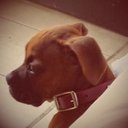 Marcelino Sotelo - @sotelo2124 - Twitter