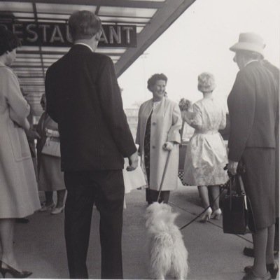 chatzenbus's profile picture. 